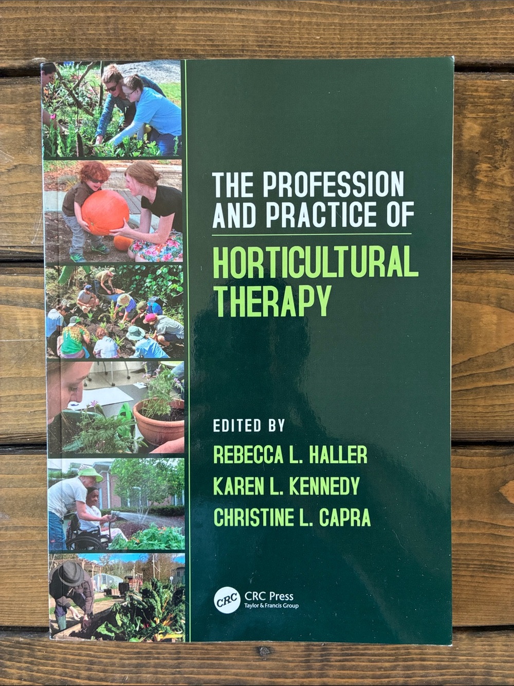 The Profession and Practice of  Horticultural Therapy book